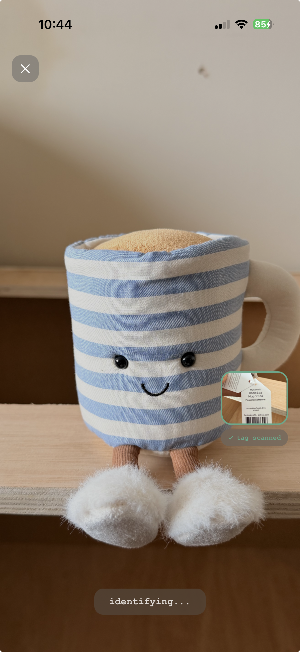 Plushfolio scan screen